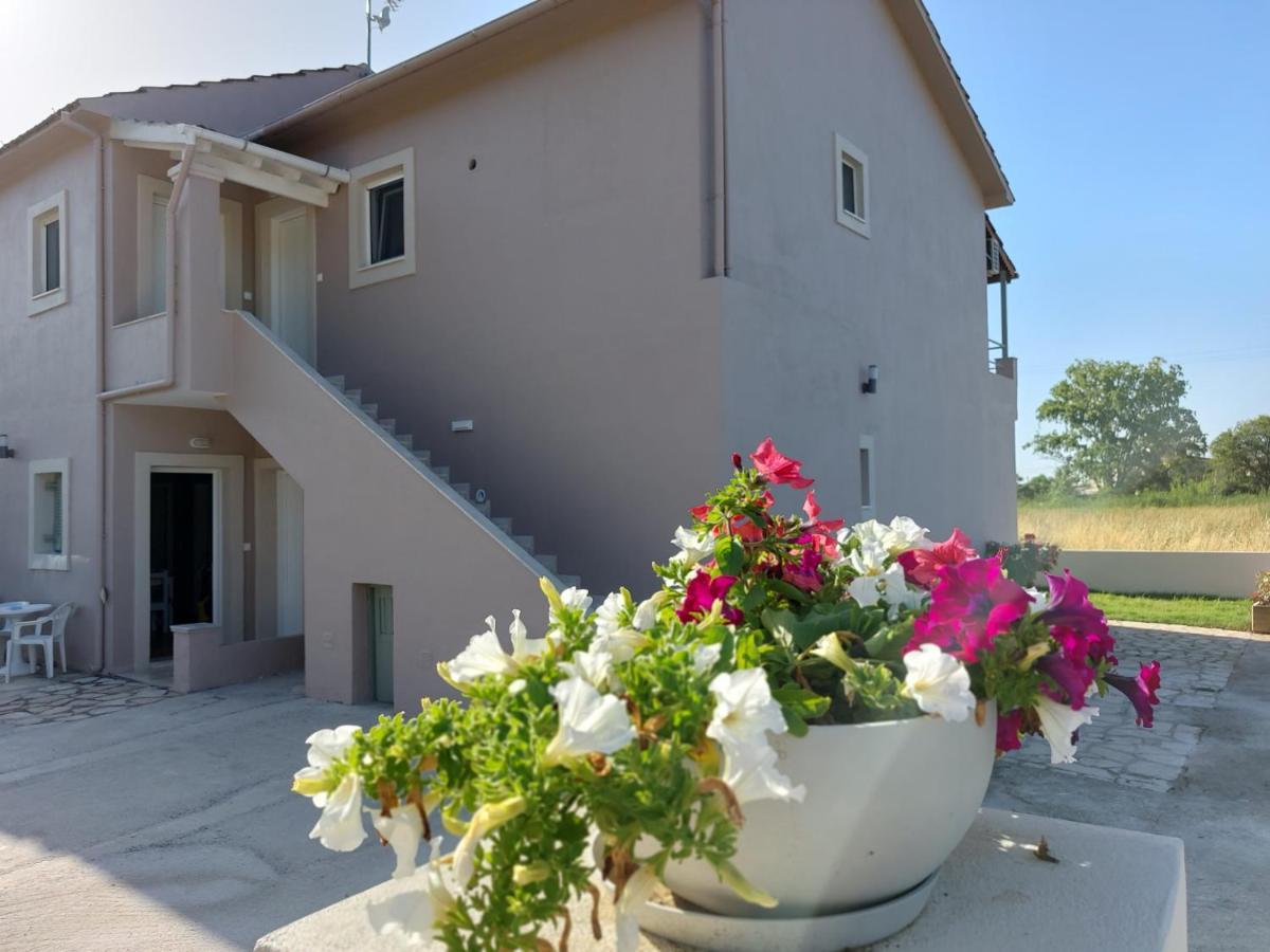 Evelina Luxury Suites In Corfu Ipsos Exterior photo